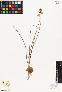 SW_BNB_s3010-02771_IMG-0000000001