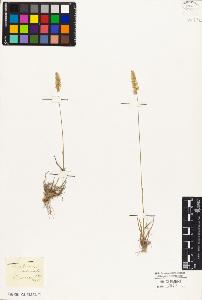 SW_BNB_s3010-02782_IMG-0000000001
