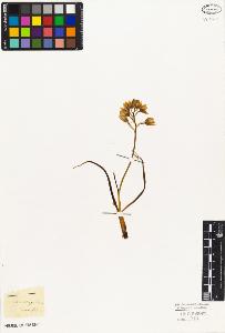 SW_BNB_s3010-02783_IMG-0000000001