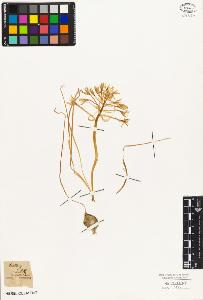 SW_BNB_s3010-02784_IMG-0000000001