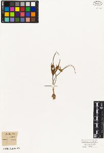 SW_BNB_s3010-02787_IMG-0000000001