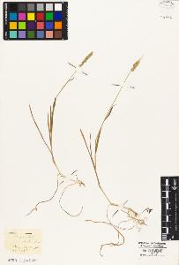 SW_BNB_s3010-02791_IMG-0000000001