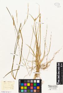 SW_BNB_s3010-02792_IMG-0000000001