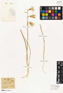 SW_BNB_s3010-02793_IMG-0000000001