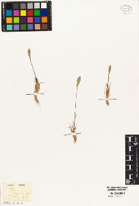 SW_BNB_s3010-02794_IMG-0000000001
