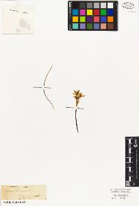 SW_BNB_s3010-02798_IMG-0000000001