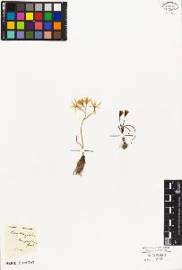 SW_BNB_s3010-02799_IMG-0000000001