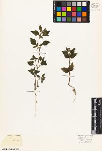 SW_BNB_s3010-02801_IMG-0000000001