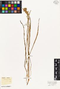 SW_BNB_s3010-02803_IMG-0000000001