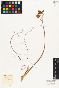 SW_BNB_s3010-02804_IMG-0000000001
