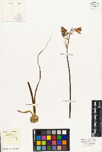 SW_BNB_s3010-02806_IMG-0000000001