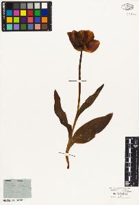 SW_BNB_s3010-02812_IMG-0000000001