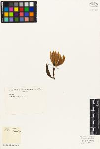 SW_BNB_s3010-02820_IMG-0000000001