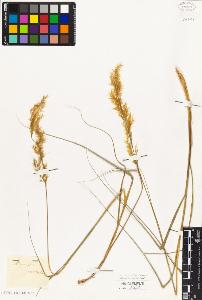 SW_BNB_s3010-02823_IMG-0000000001