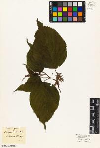 SW_BNB_s3010-02824_IMG-0000000001