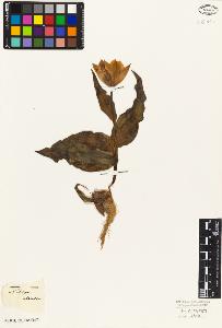 SW_BNB_s3010-02827_IMG-0000000001