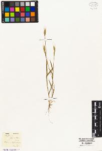 SW_BNB_s3010-02829_IMG-0000000001