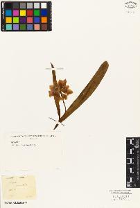 SW_BNB_s3010-02830_IMG-0000000001