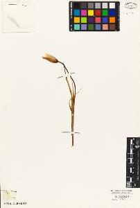 SW_BNB_s3010-02831_IMG-0000000001