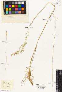 SW_BNB_s3010-02832_IMG-0000000001