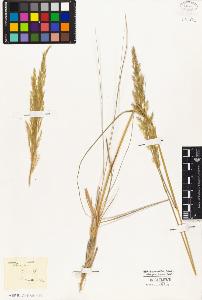 SW_BNB_s3010-02833_IMG-0000000001