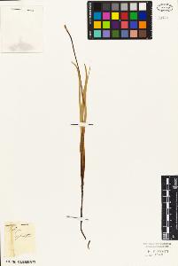 SW_BNB_s3010-02834_IMG-0000000001