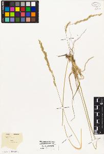SW_BNB_s3010-02841_IMG-0000000001