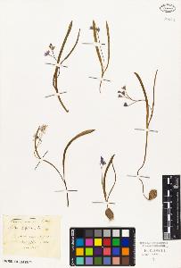 SW_BNB_s3010-02842_IMG-0000000001