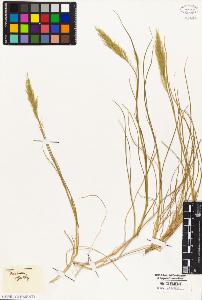SW_BNB_s3010-02844_IMG-0000000001