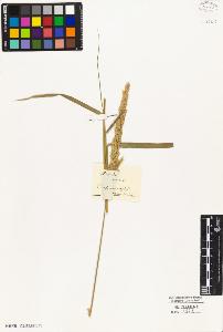 SW_BNB_s3010-02845_IMG-0000000001