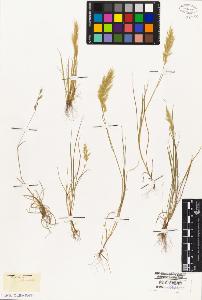SW_BNB_s3010-02846_IMG-0000000001