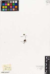 SW_BNB_s3010-02848_IMG-0000000001