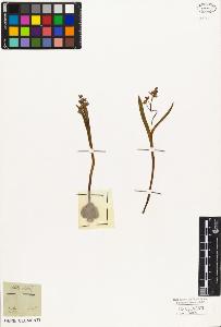 SW_BNB_s3010-02855_IMG-0000000001