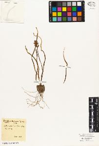 SW_BNB_s3010-02856_IMG-0000000001