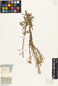 SW_BNB_s3010-02858_IMG-0000000001