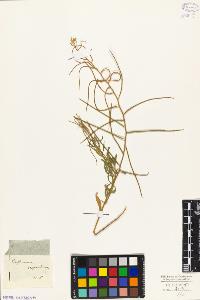 SW_BNB_s3010-02860_IMG-0000000001