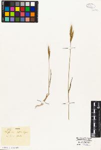 SW_BNB_s3010-02863_IMG-0000000001