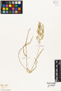 SW_BNB_s3010-02866_IMG-0000000001