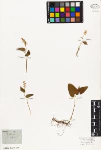 SW_BNB_s3010-02867_IMG-0000000001