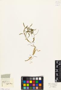 SW_BNB_s3010-02870_IMG-0000000001