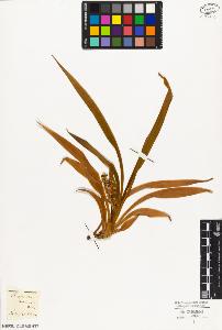 SW_BNB_s3010-02876_IMG-0000000001