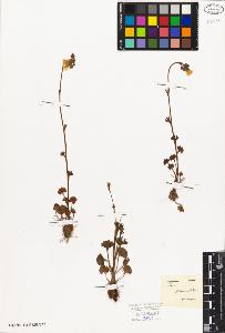 SW_BNB_s3010-02877_IMG-0000000001