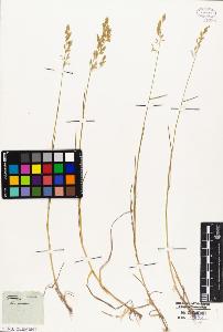 SW_BNB_s3010-02888_IMG-0000000001