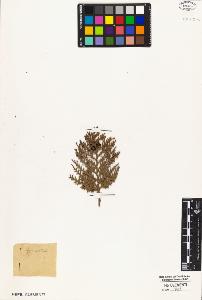 SW_BNB_s3010-02895_IMG-0000000001