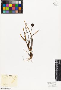 SW_BNB_s3010-02897_IMG-0000000001