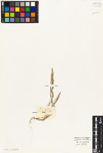 SW_BNB_s3010-02901_IMG-0000000001