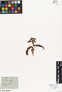 SW_BNB_s3010-02905_IMG-0000000001