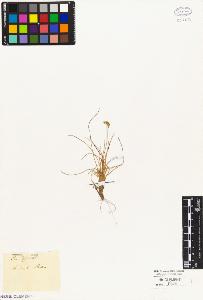 SW_BNB_s3010-02908_IMG-0000000001