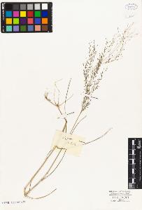 SW_BNB_s3010-02910_IMG-0000000001