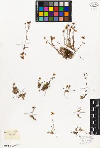 SW_BNB_s3010-02917_IMG-0000000001